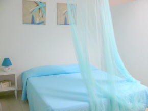 blu Olbia